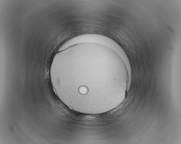 X0000111010176200907311059