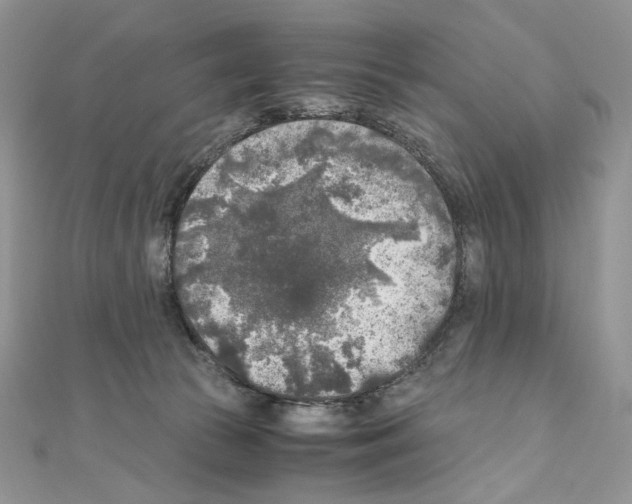 X0000111010177200907311059