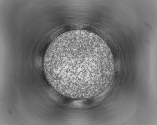 X0000111010178200907311059