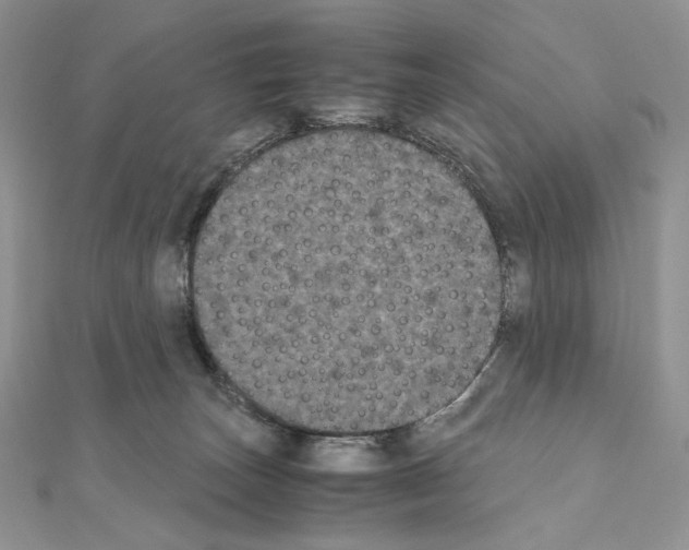 X0000111010179200907311059