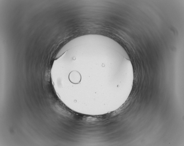 X0000111010180200907311059