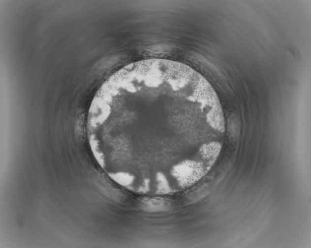 X0000111010181200907311059