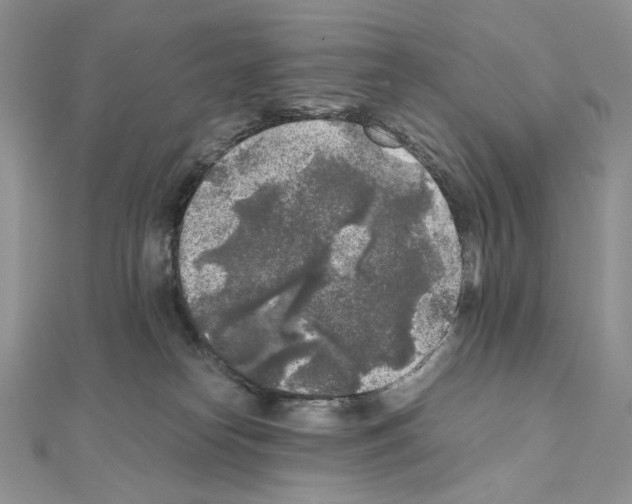 X0000111010182200907311059