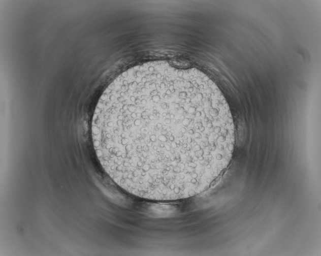 X0000111010183200907311059