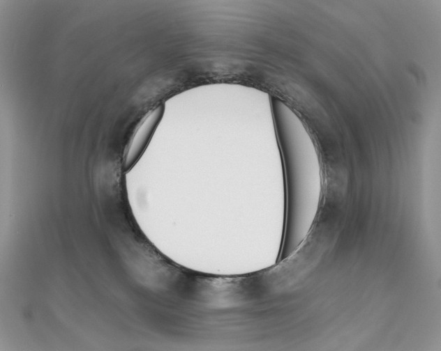 X0000111010184200907311059