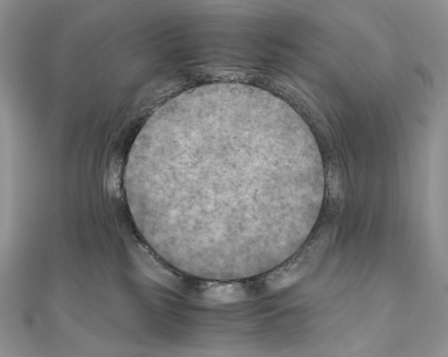 X0000111010185200907311059