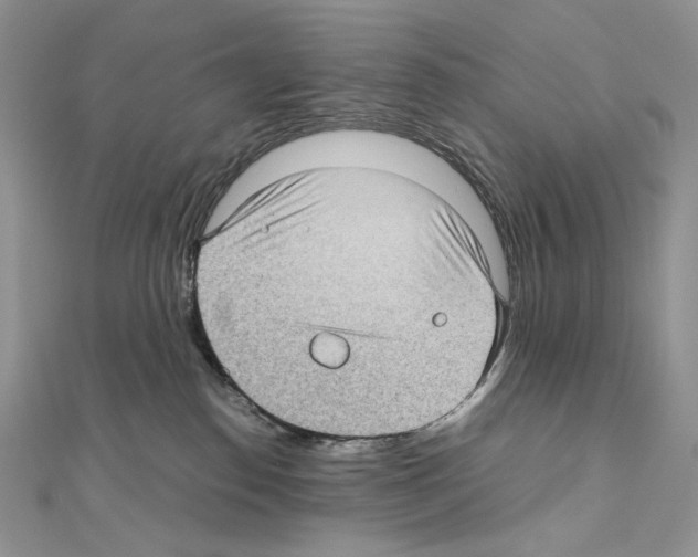 X0000111010186200907311059
