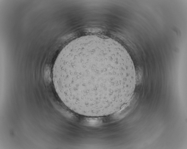 X0000111010187200907311059