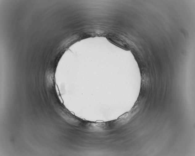 X0000111010188200907311059