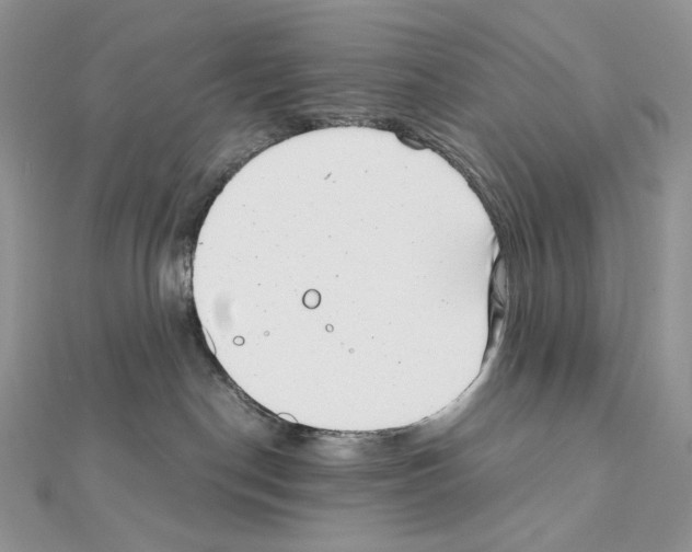 X0000111010190200907311059