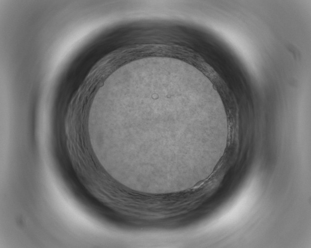 X0000111010191200907311059