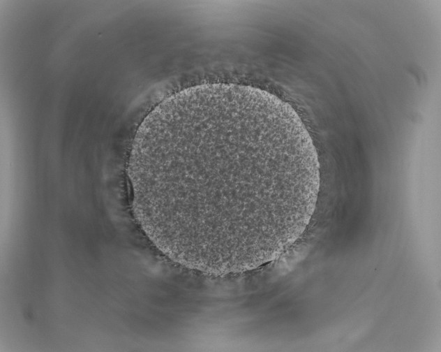 X0000111010192200907311059