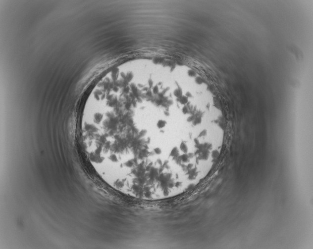 X0000111010194200907311058