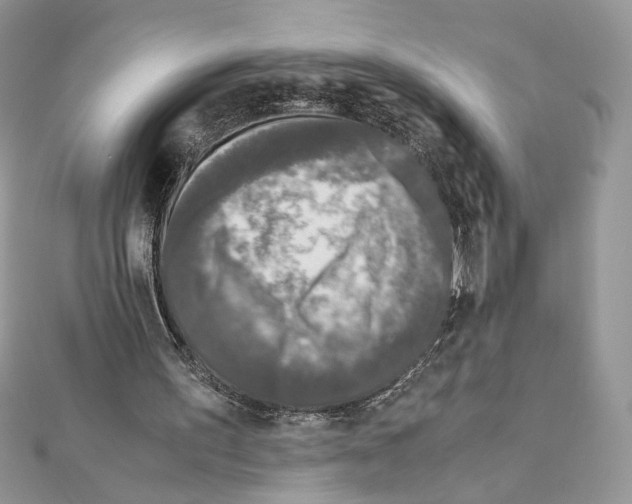 X0000111010195200907311058