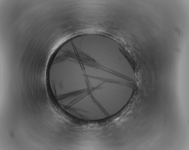 X0000111010196200907311058