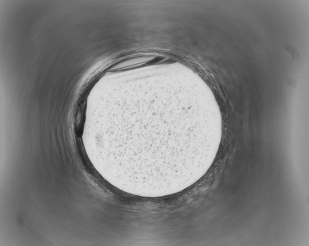 X0000111010197200907311058