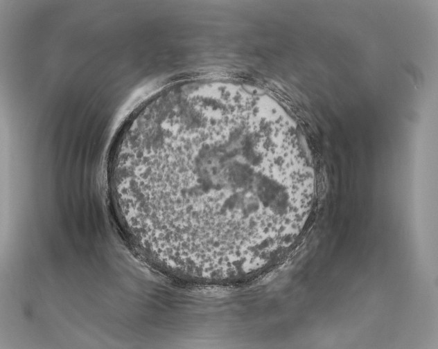 X0000111010198200907311058