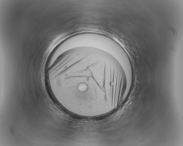 X0000111010199200907311058