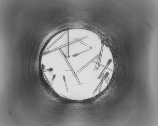 X0000111010200200907311058