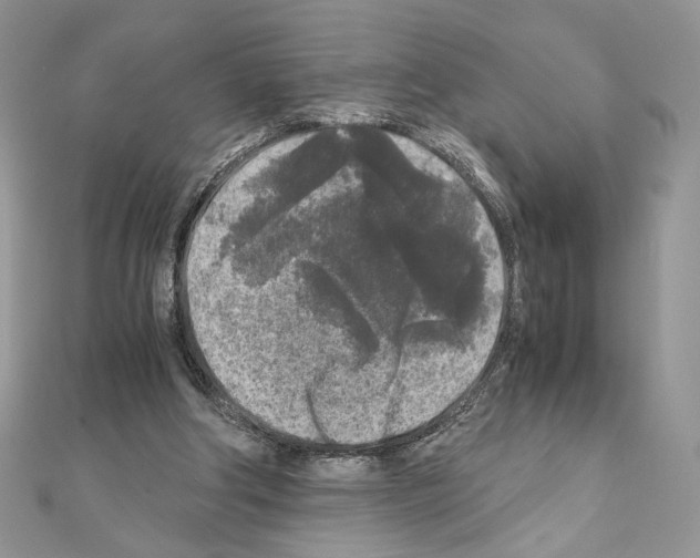 X0000111010202200907311058