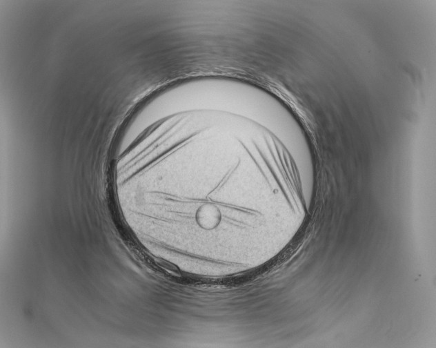 X0000111010203200907311058