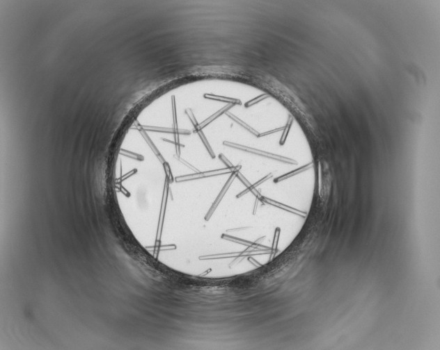 X0000111010204200907311058