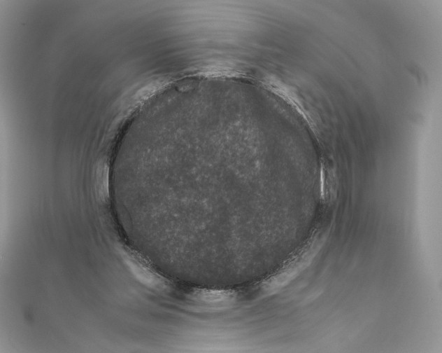 X0000111010205200907311058