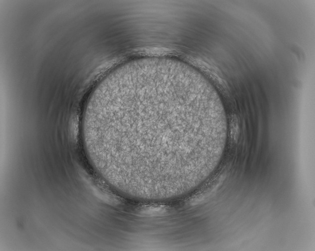 X0000111010206200907311058