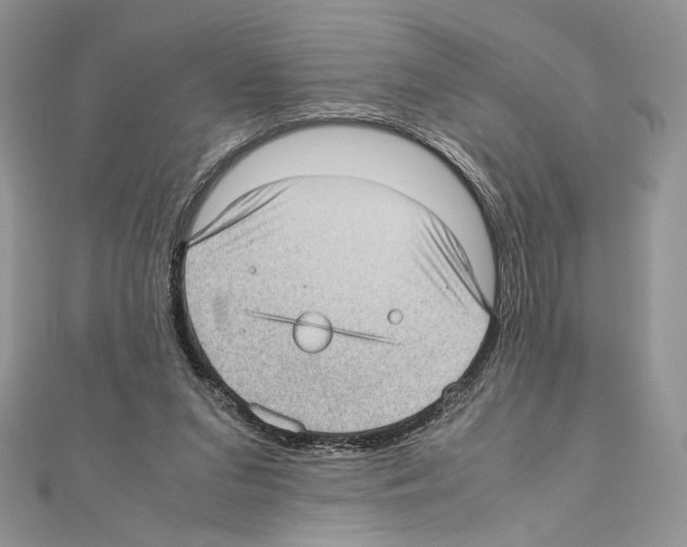 X0000111010207200907311058