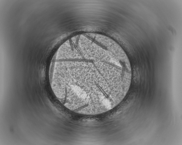 X0000111010208200907311058