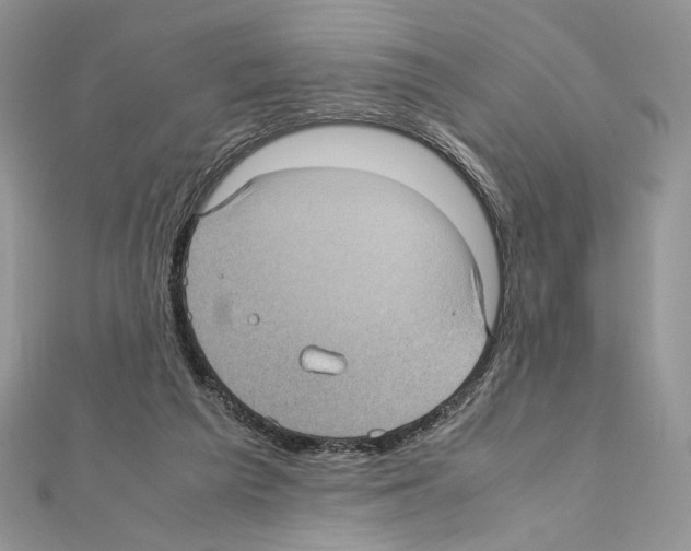 X0000111010209200907311058