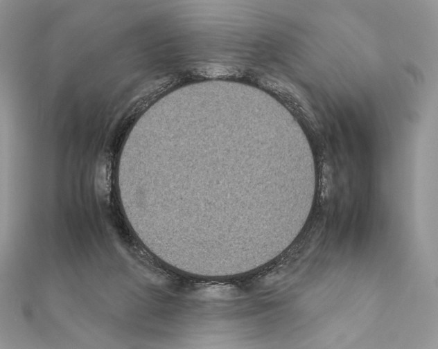 X0000111010210200907311058