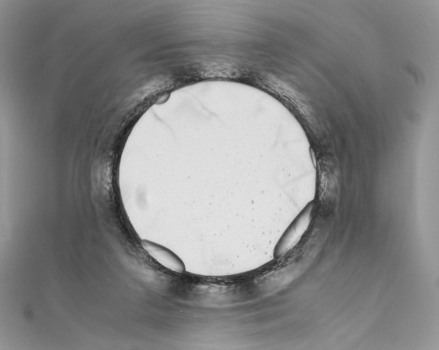X0000111010211200907311058
