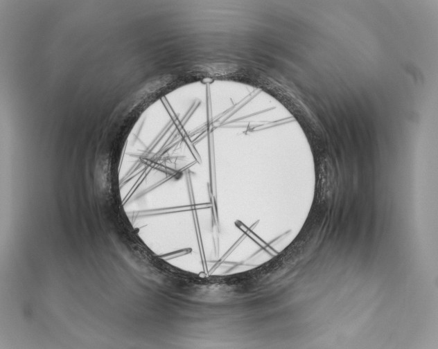 X0000111010212200907311058