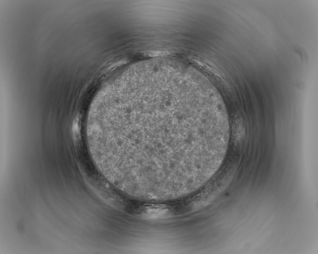 X0000111010214200907311058