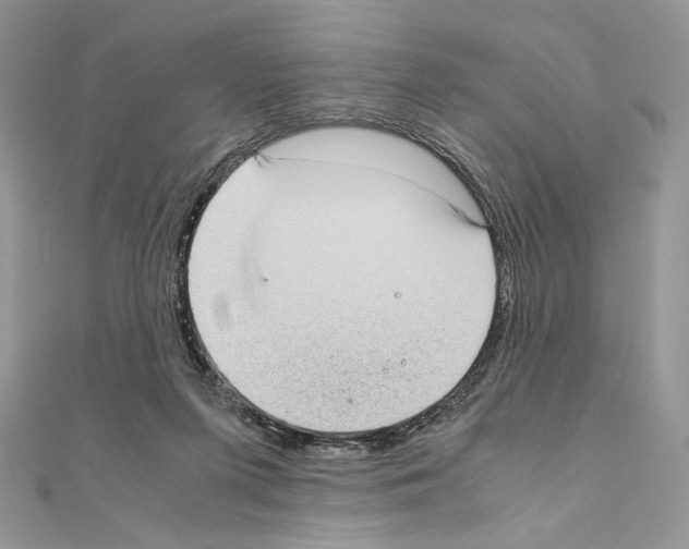 X0000111010215200907311058