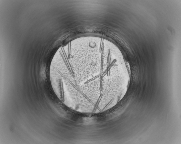 X0000111010216200907311058