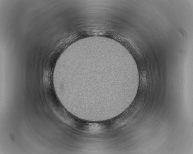 X0000111010218200907311058