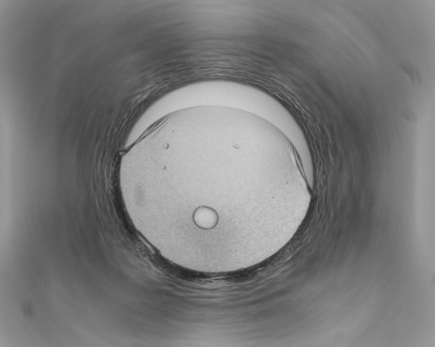 X0000111010219200907311058