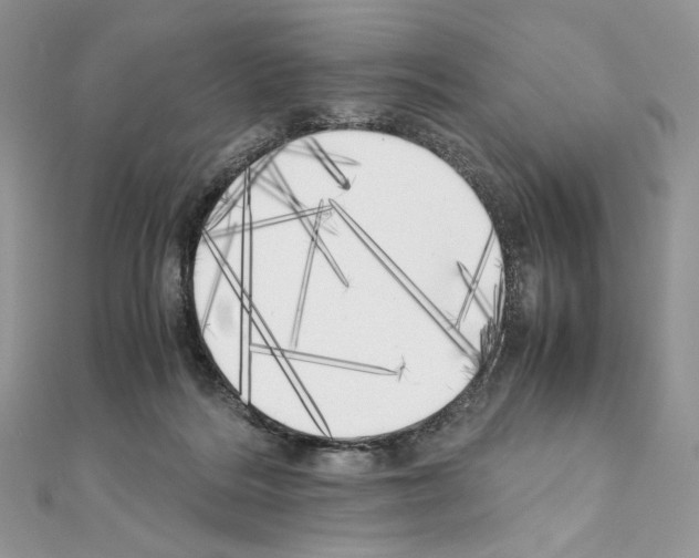X0000111010220200907311058