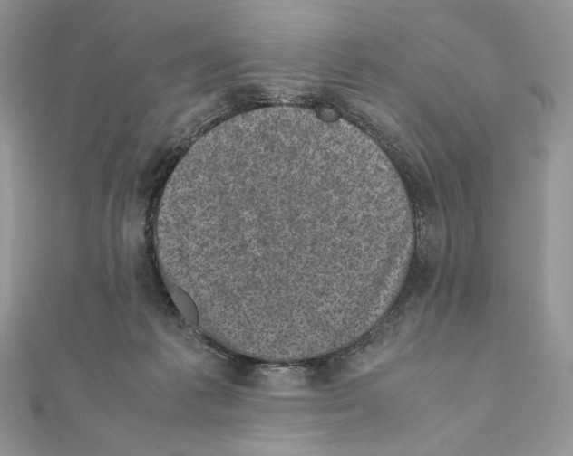 X0000111010221200907311058