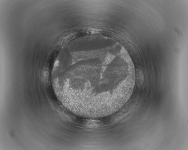 X0000111010222200907311058
