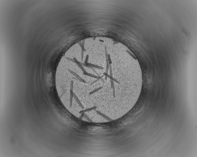 X0000111010224200907311058
