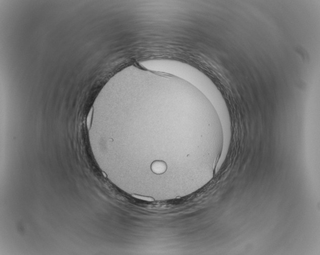 X0000111010225200907311058