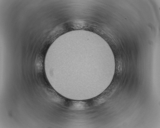 X0000111010226200907311058