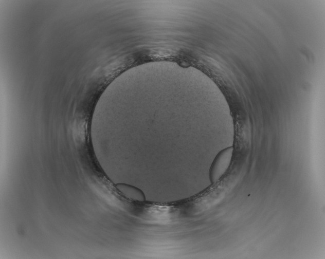 X0000111010227200907311058