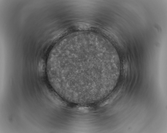 X0000111010228200907311058