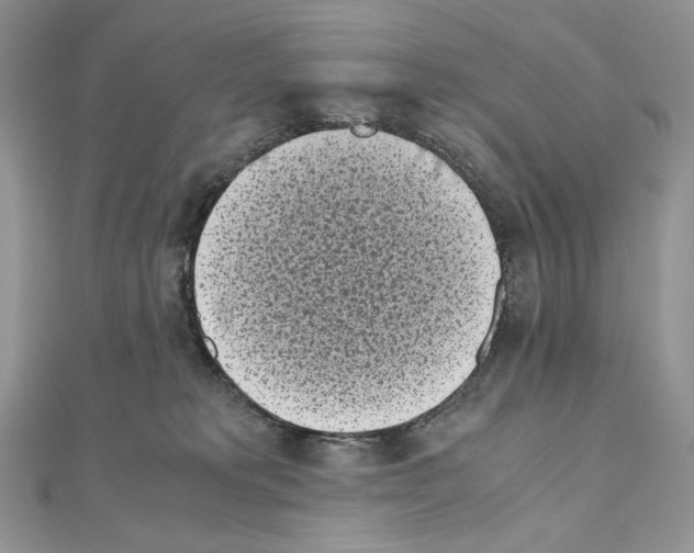 X0000111010229200907311058