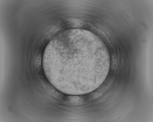 X0000111010230200907311058