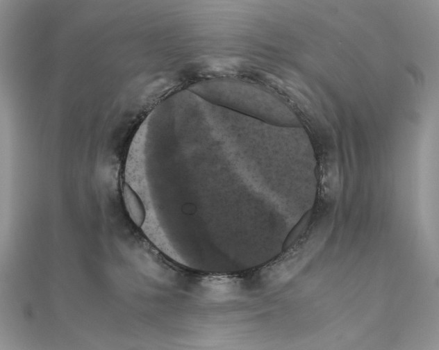 X0000111010231200907311058